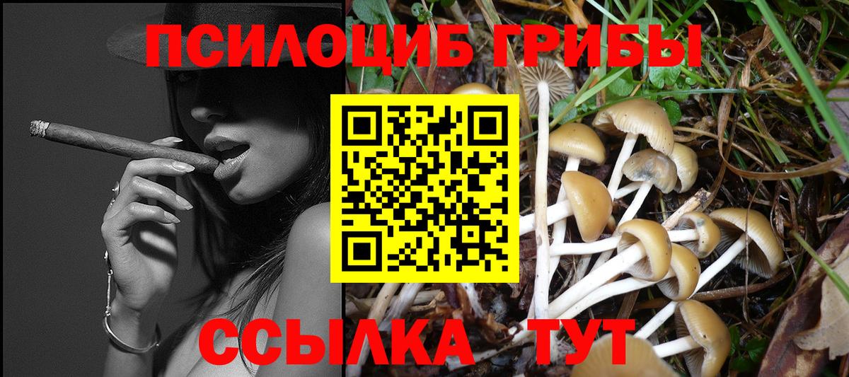 Галлюциногенные грибы прущие грибы  Вход с VPN  Ялта  Галлюциногенные грибы Cubensis 
